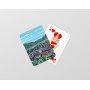 Jeu de cartes d'Aix-les-Bains - Le Belvédère du Bois Vidal