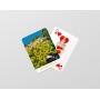 Jeu de cartes de Bormes-les-Mimosas