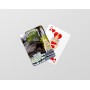 Jeu de cartes de la ville de Lourdes - la Grotte de Massabielle