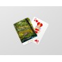 Jeu de cartes de la Sologne