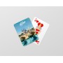 Jeu de cartes de la ville de Blois