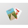Jeu de cartes de Bretignolles-sur-mer