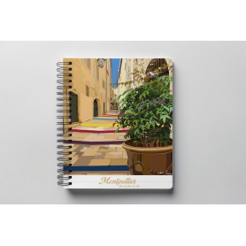 Carnet de notes de Montpellier - Bras de fer