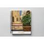 Carnet de notes de Montpellier - Bras de fer