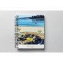 Carnet de notes d'Hossegor - lac marin