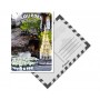 Carte postale de Lourdes - La Grotte de Massabielle