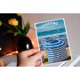 Cartes Postales de Cabourg