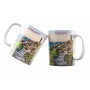 Mug de Perros-Guirec - Ploumanac'h