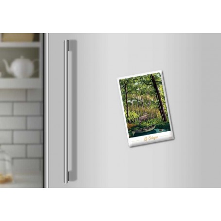 Magnet de Sologne