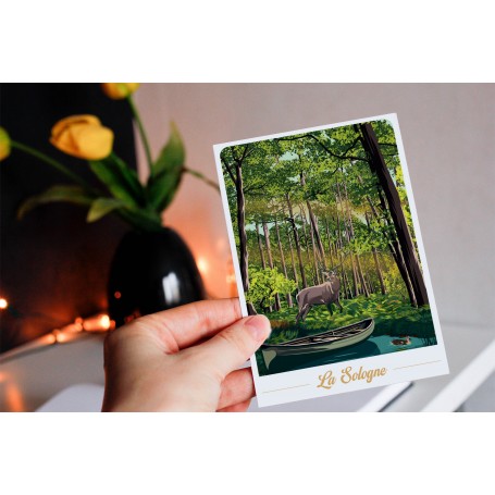 Carte Postale de Sologne