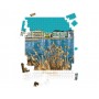 Puzzle de Montpellier - bassin Jacques Coeur