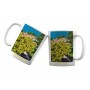 Mug de Bormes-les-Mimosas