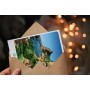 Carte postale de La Ciotat - Calanque de Figuerolles