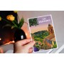 Carte Postale de La Provence verte