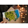 Carte Postale de Bormes-les-Mimosas