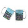 Mug de Aix-les-Bains - Belvédère du Bois Vidal