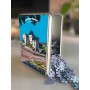 Puzzle de Aix-les-Bains - la mairie
