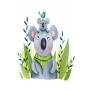 Affiche Koala - collaboration avec l'illustratrice Ipiapia