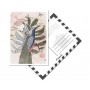 Carte Postale Paon - Collaboration avec l'illustratrice Aurélia Mahé
