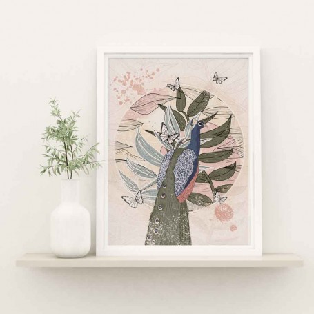 Affiche Paon - Collaboration avec l'illustratrice Aurélia Mahé